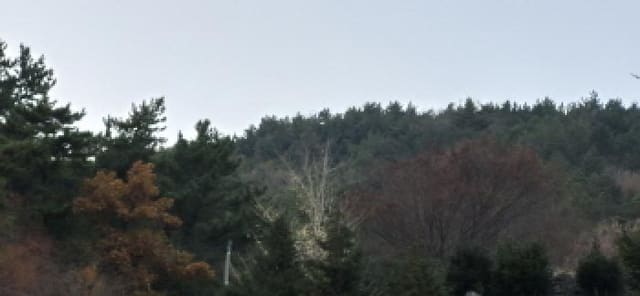B000422202501300221754.jpg