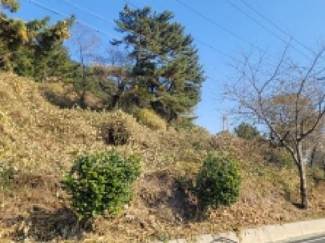 B000422202501300221821.jpg