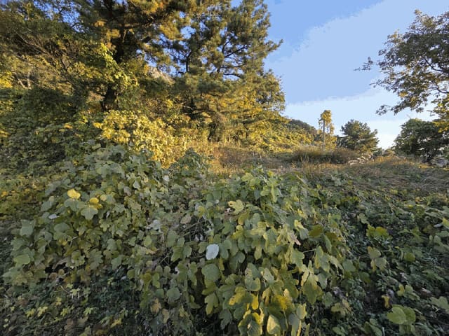 B000422202501300221824.jpg