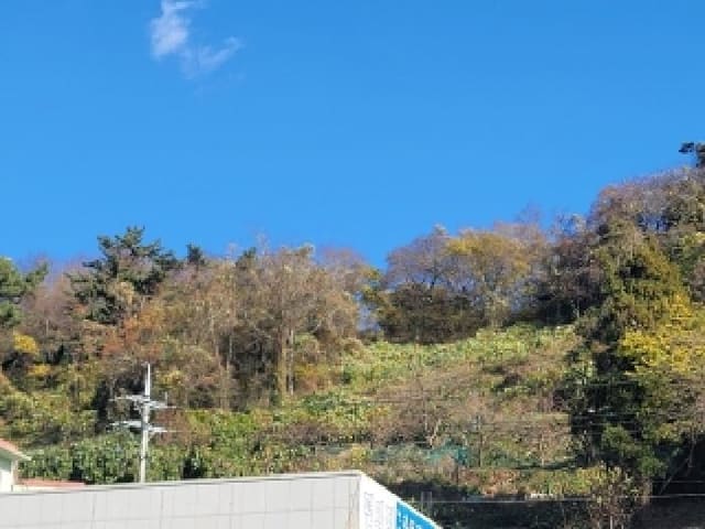 B000422202501300222061.jpg