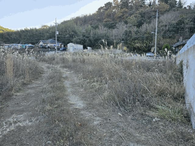 B000422202501300222104.jpg
