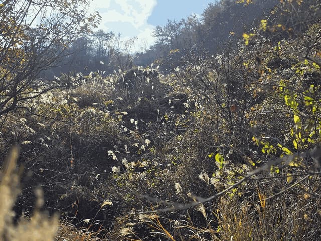 B000422202501300222144.jpg