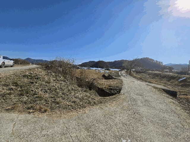 B000422202501300222844.jpg