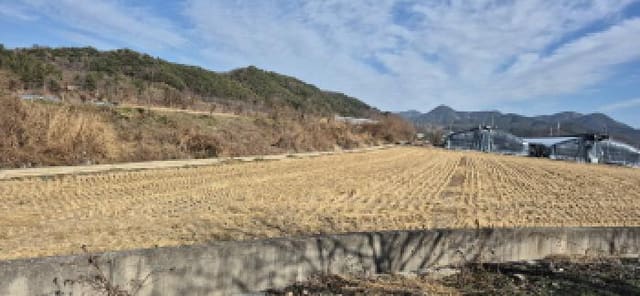 B000422202501300222842.jpg