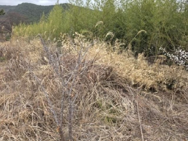 B000422202501300223074.jpg
