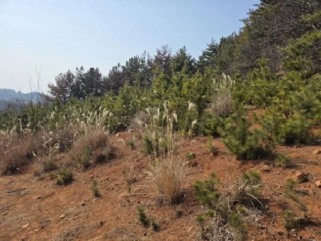 B000422202501300223123.jpg