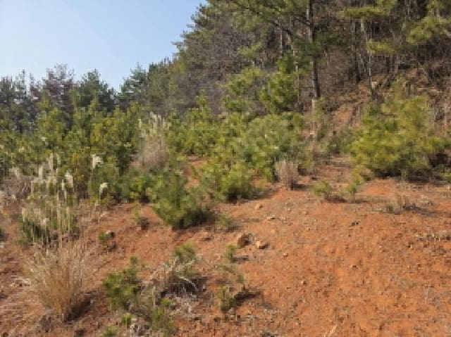 B000422202501300223122.jpg