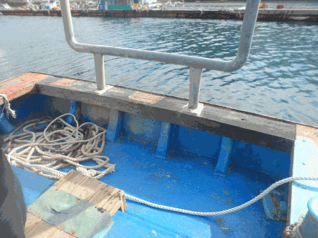 B000422202501300223351.jpg