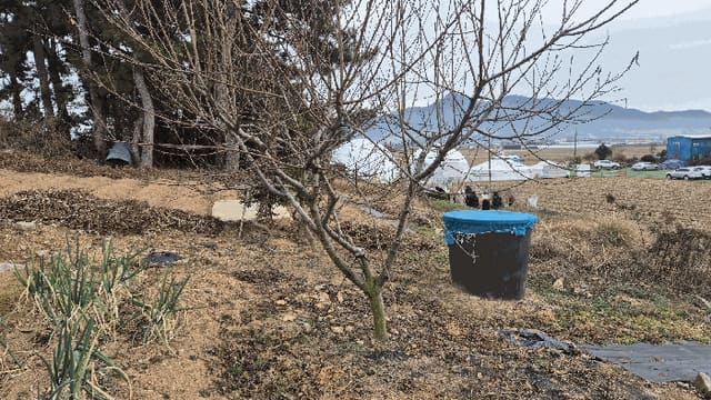B0004222025013002236321.jpg