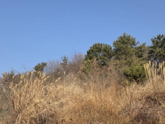 B000422202501300223644.jpg