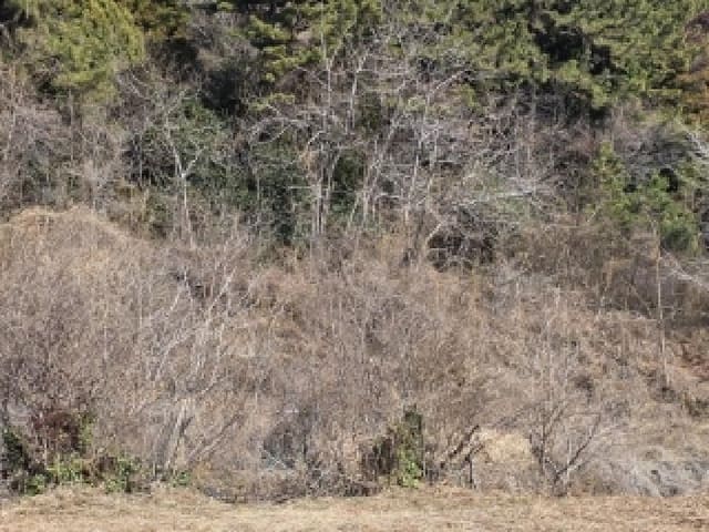 B000422202601300100403.jpg