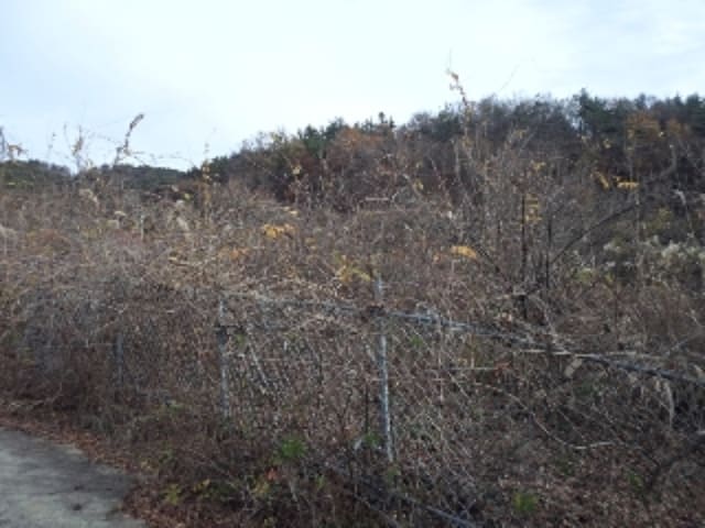 B000423202201300019973.jpg