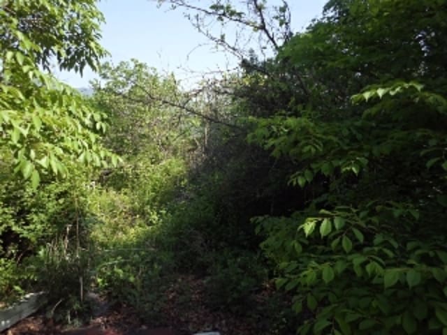 B000423202301300007621.jpg