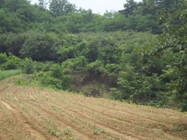 B000423202301300011162.jpg