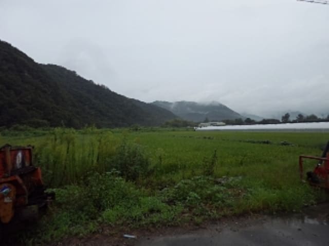 B000423202301300017031.jpg