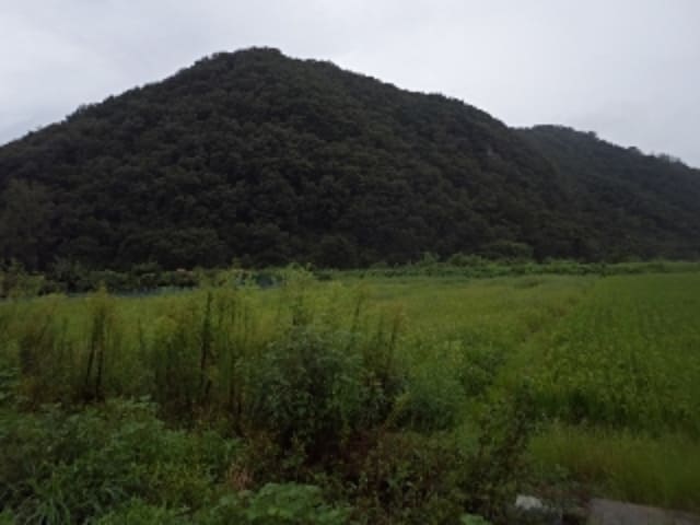 B000423202301300017034.jpg