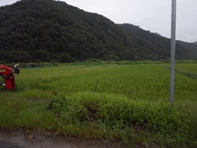 B000423202301300017033.jpg