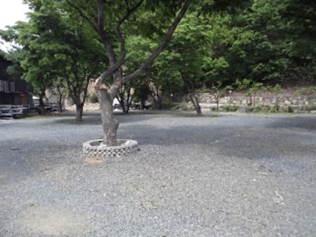 B000423202301300109363.jpg