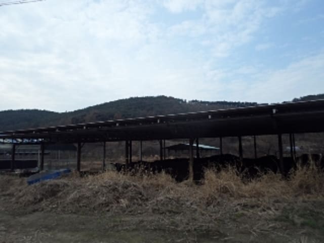 B000423202301300130342.jpg