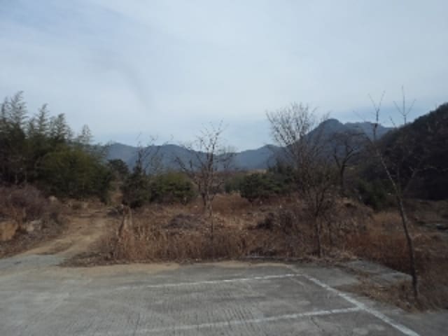 B000423202301300131951.jpg