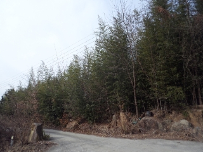 B000423202301300131954.jpg