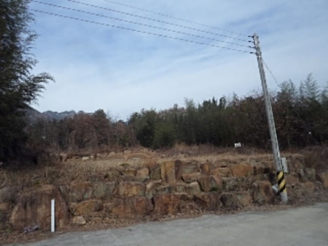 B000423202301300131952.jpg