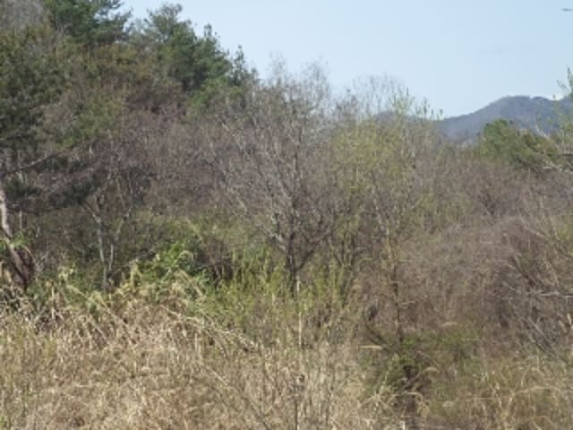 B000423202401300004931.jpg