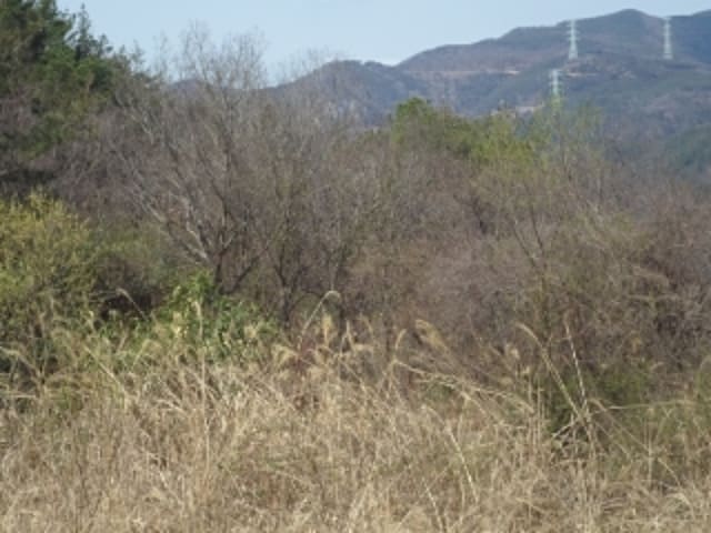 B000423202401300004933.jpg
