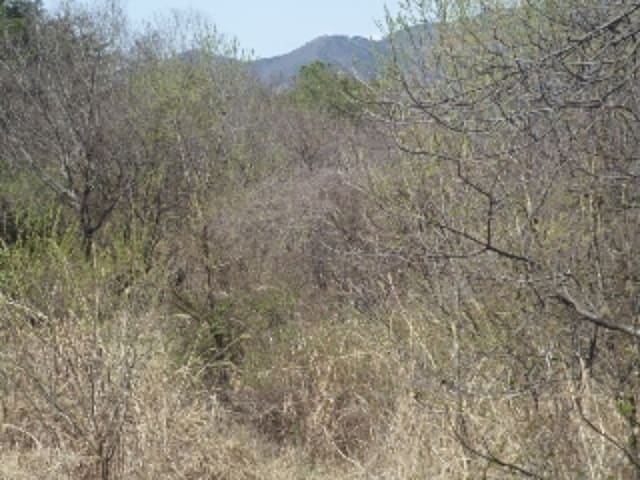 B000423202401300004932.jpg