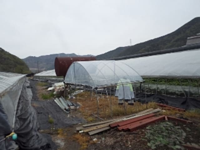 B000423202401300006393.jpg