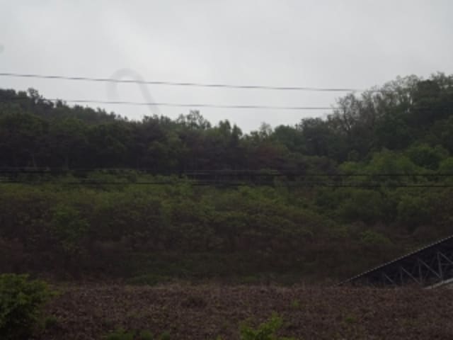 B000423202401300007074.jpg