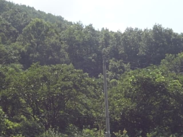 B000423202401300016183.jpg