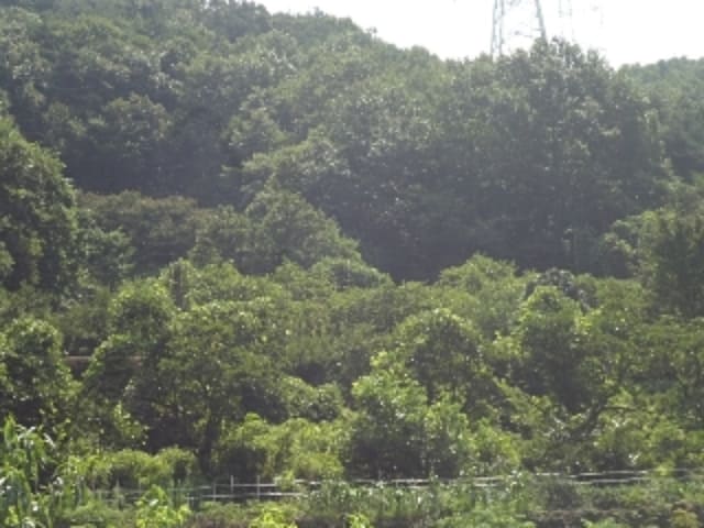 B000423202401300016182.jpg