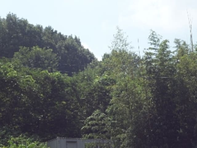 B000423202401300016184.jpg