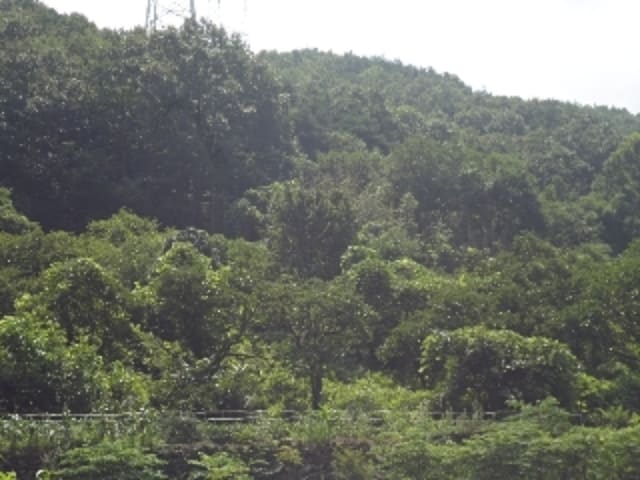 B000423202401300016181.jpg