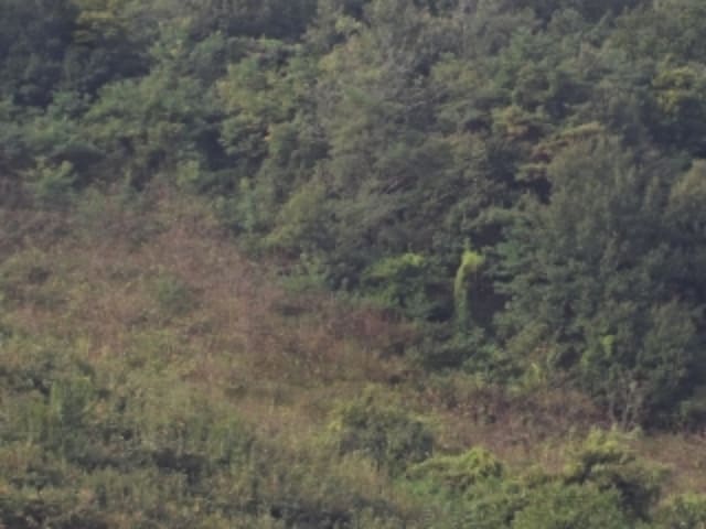 B000423202401300024062.jpg