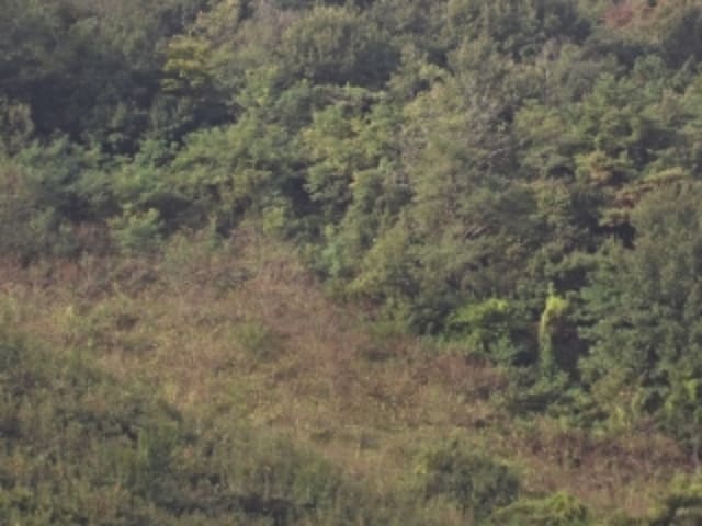 B000423202401300024064.jpg