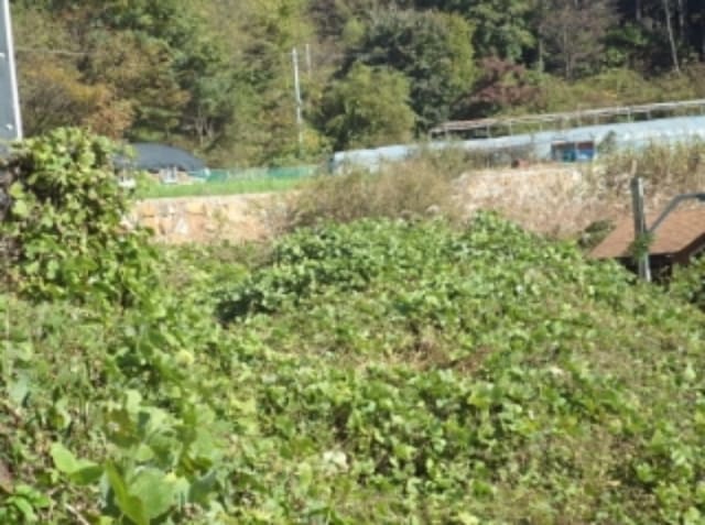 B000423202401300025052.jpg