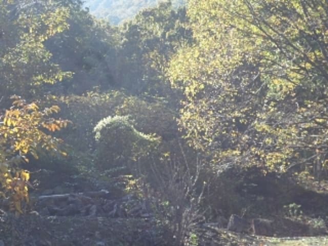 B000423202401300025674.jpg