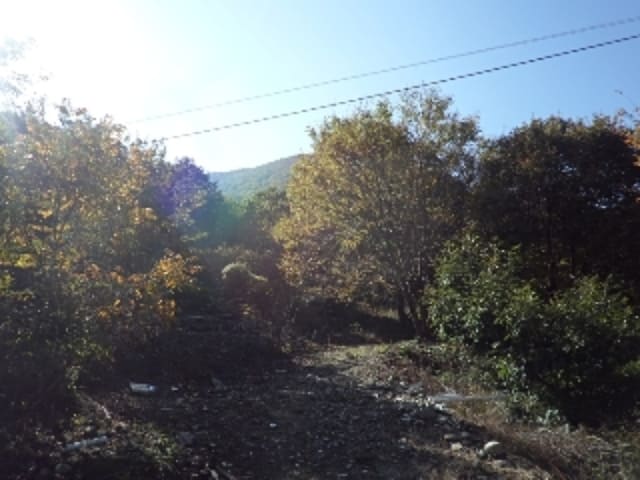B000423202401300025673.jpg