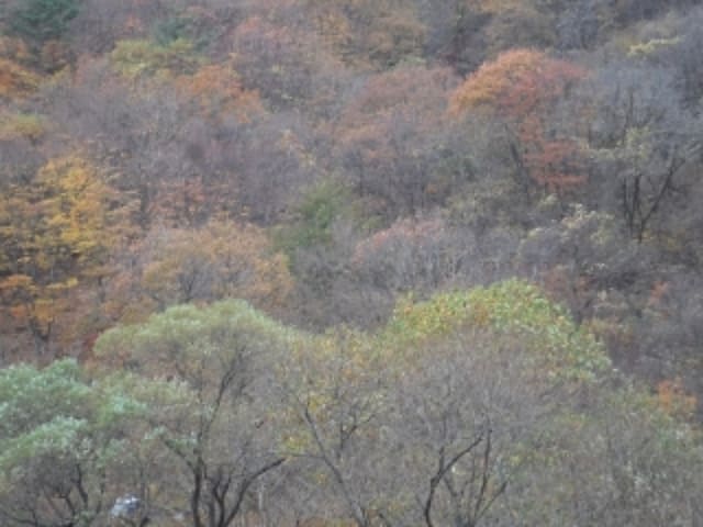 B000423202401300025812.jpg