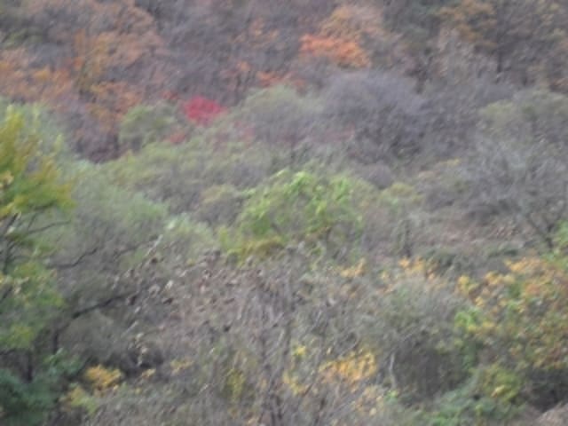 B000423202401300025814.jpg