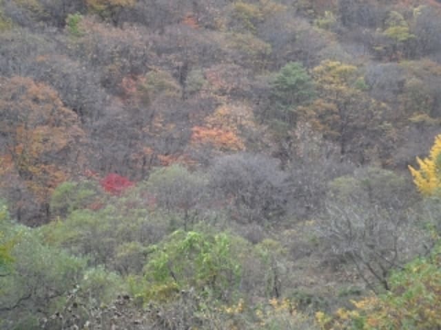 B000423202401300025813.jpg