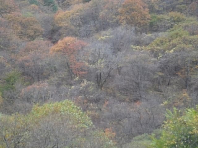 B000423202401300025811.jpg