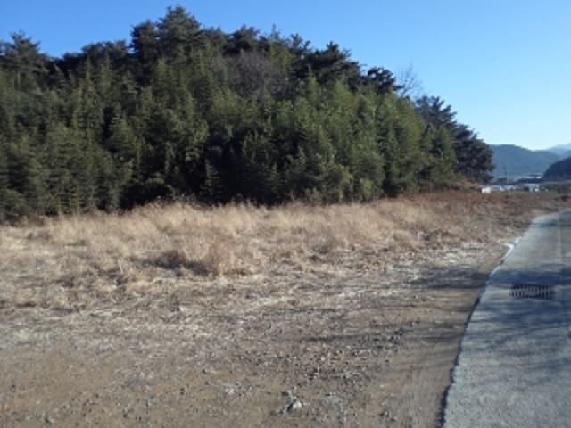 B000423202401300031713.jpg