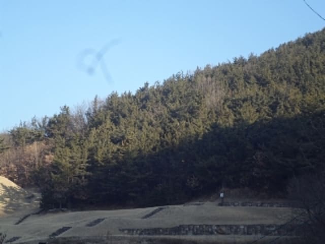 B000423202401300033002.jpg