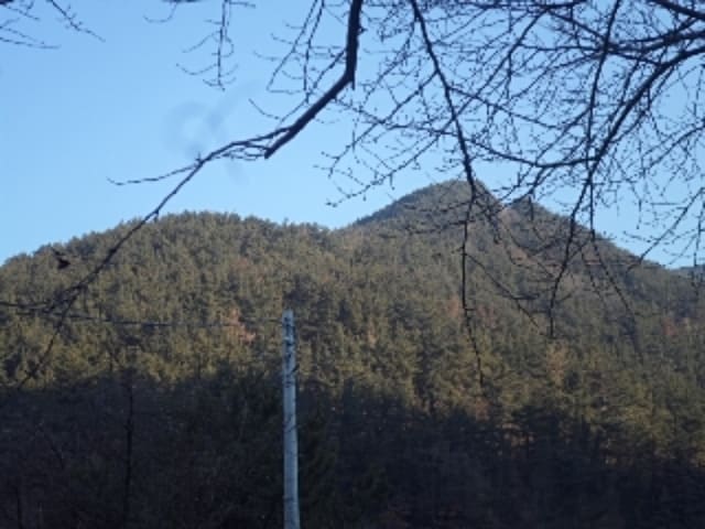 B000423202401300033004.jpg