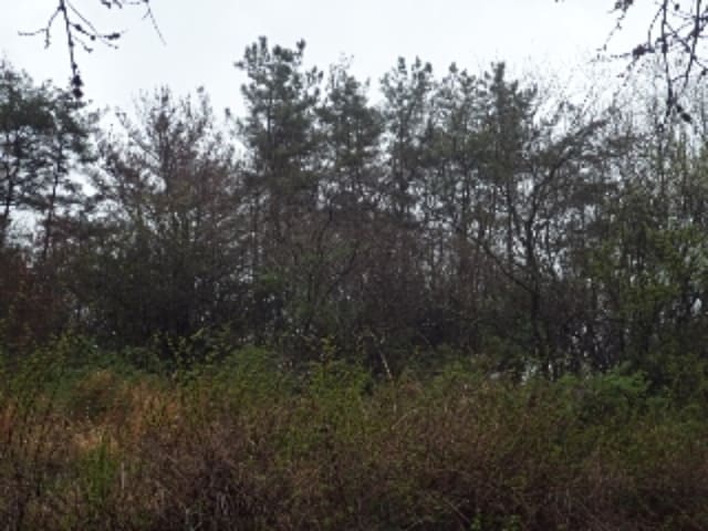 B000423202401300108723.jpg