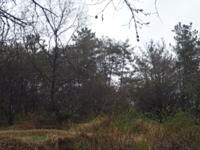 B000423202401300108722.jpg