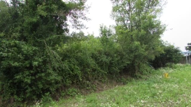 B000423202401300116843.jpg